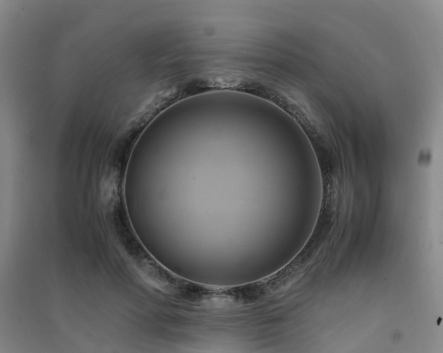 X0000091500598200708161500
