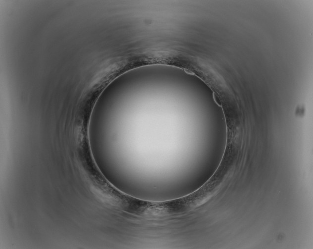 X0000091500599200708161500