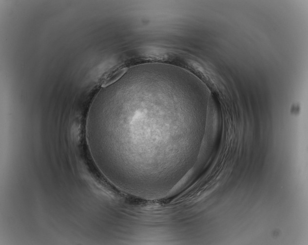 X0000091500600200708161500