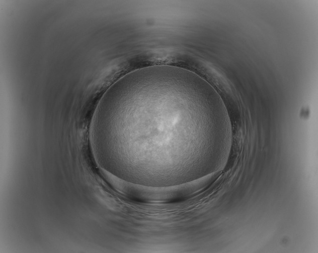 X0000091500601200708161500