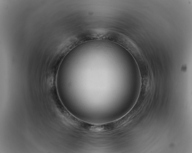 X0000091500602200708161500