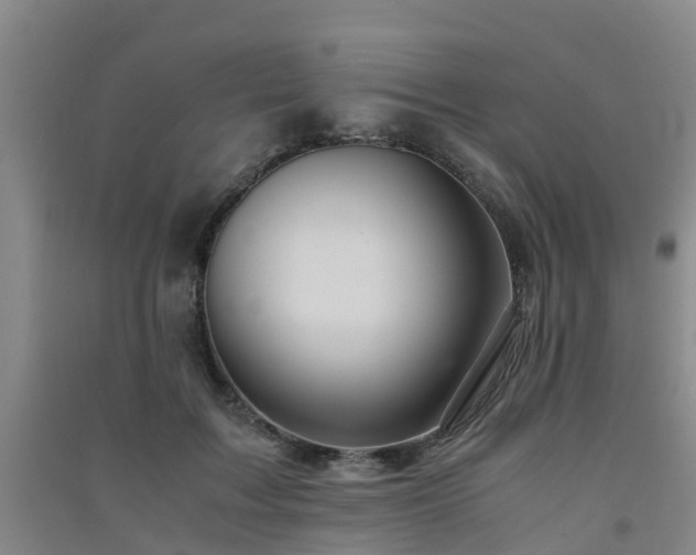 X0000091500603200708161500