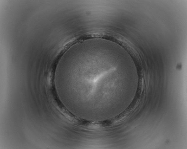 X0000091500604200708161500