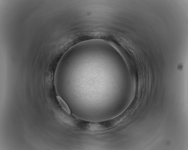 X0000091500605200708161500