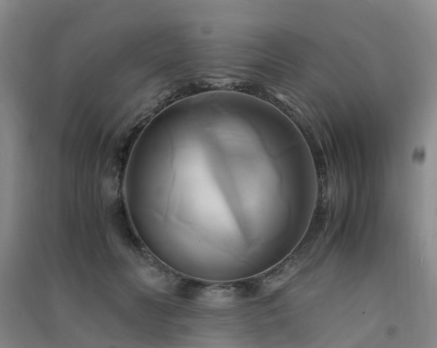 X0000091500606200708161500