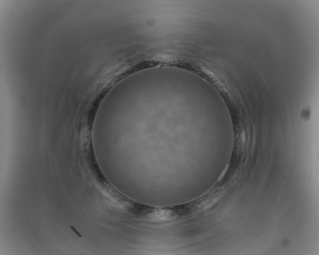 X0000091500609200708161500