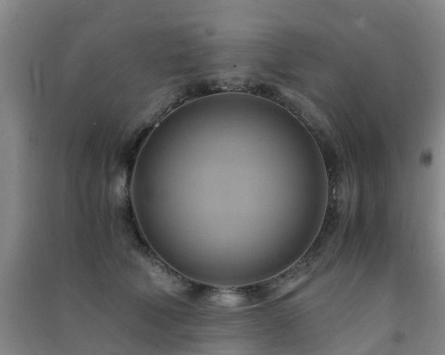 X0000091500610200708161500