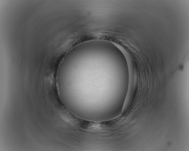 X0000091500611200708161500
