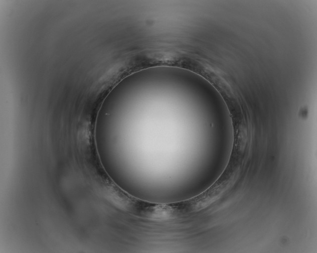 X0000091500612200708161500