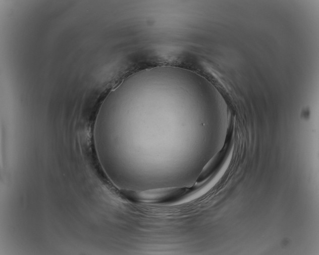 X0000091500613200708161500