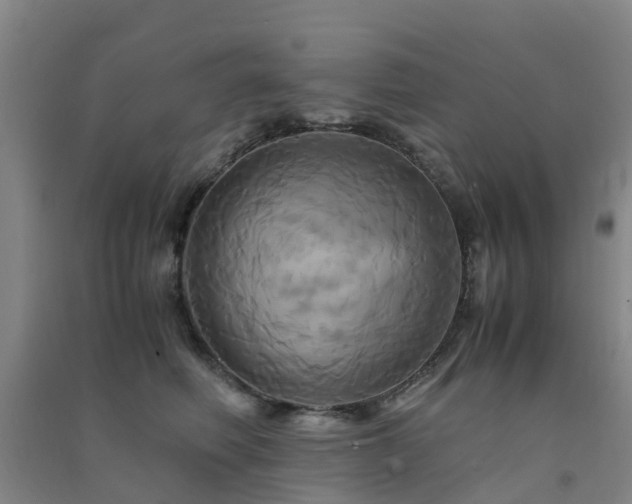 X0000091500614200708161500