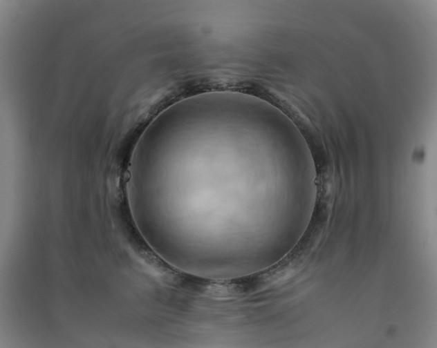 X0000091500615200708161500