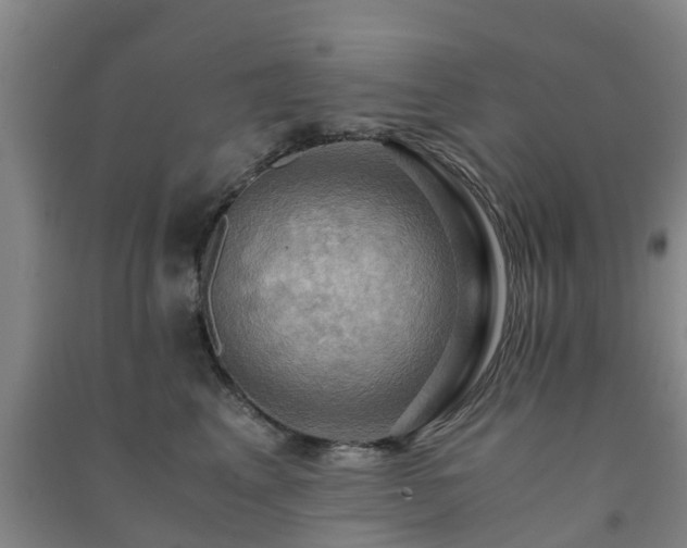 X0000091500617200708161500