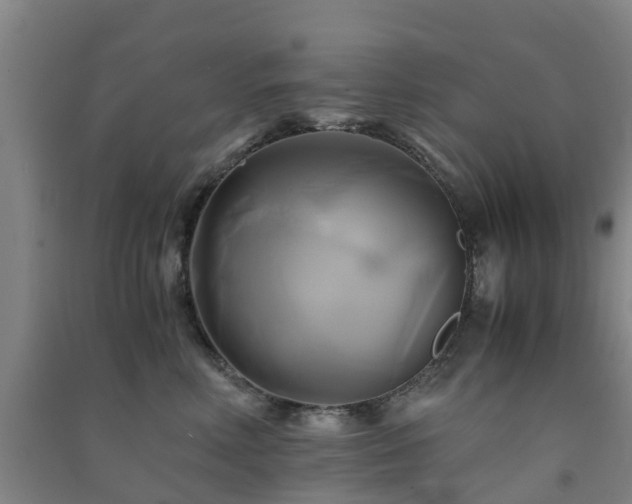 X0000091500618200708161500