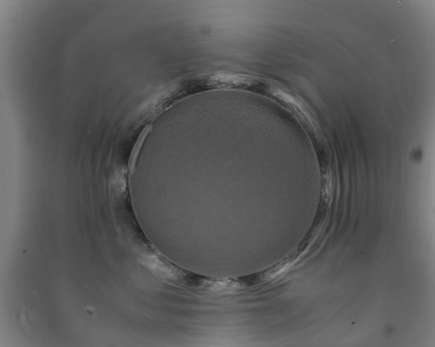 X0000091500621200708161500