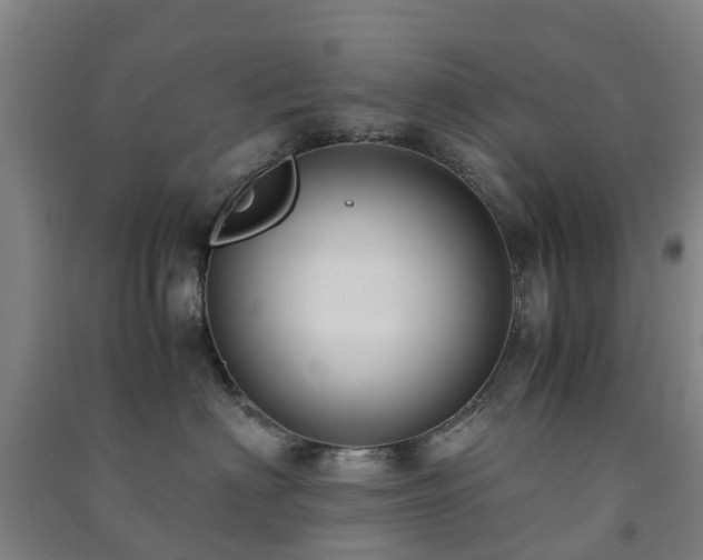 X0000091500622200708161500