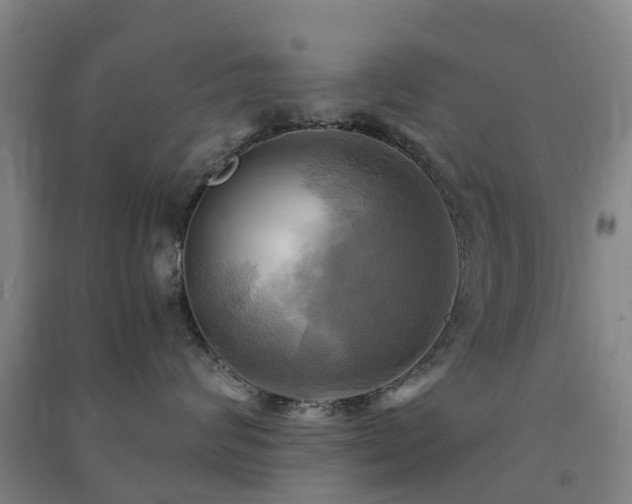 X0000091500624200708161500
