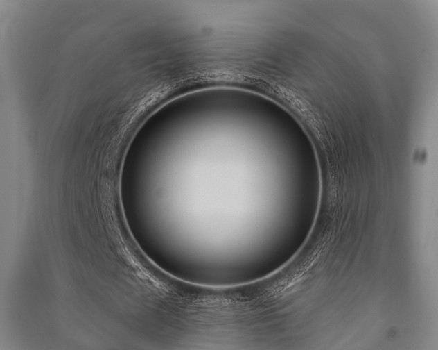 X0000091500625200708161459