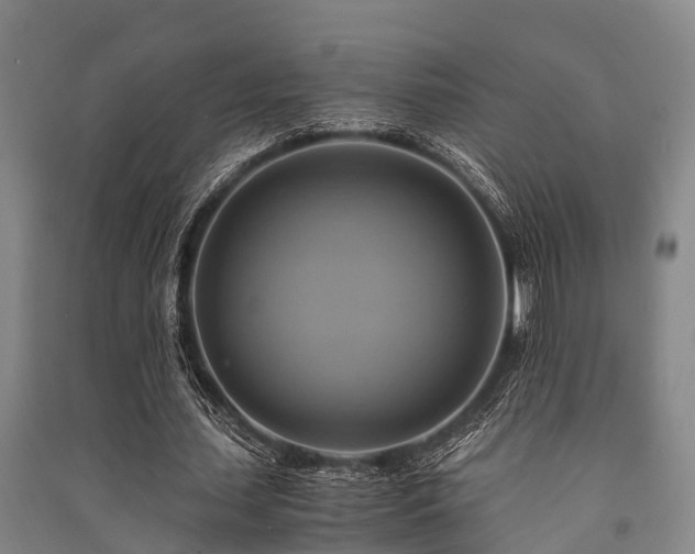 X0000091500627200708161459