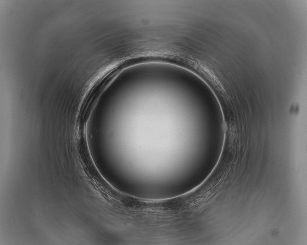 X0000091500628200708161459
