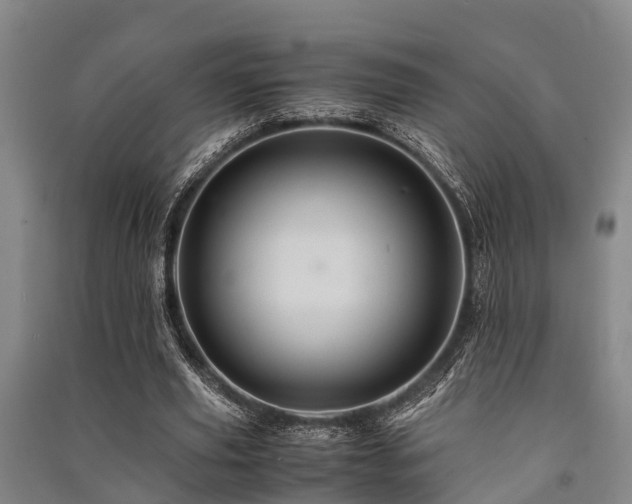 X0000091500629200708161459