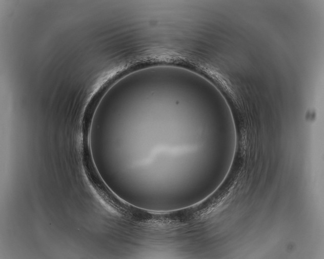 X0000091500630200708161459
