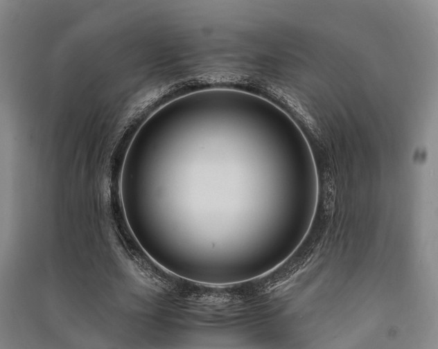 X0000091500631200708161459