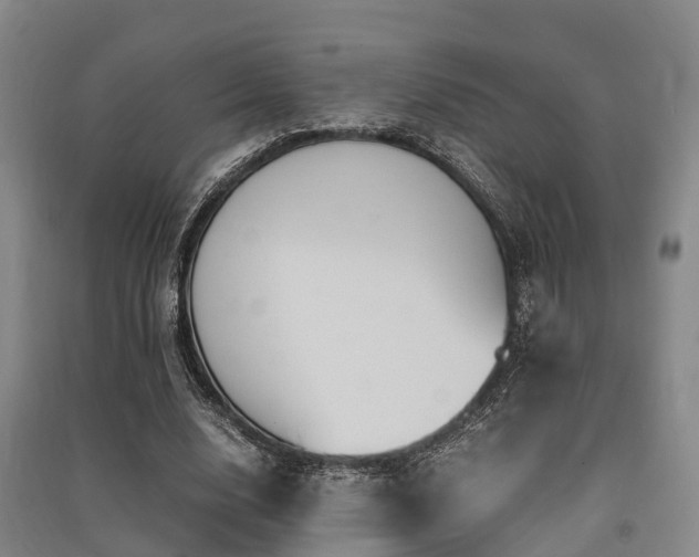 X0000091500632200708161459