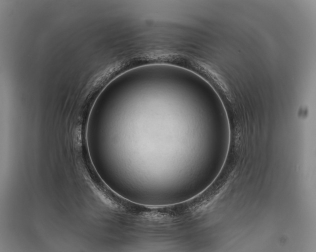 X0000091500633200708161459
