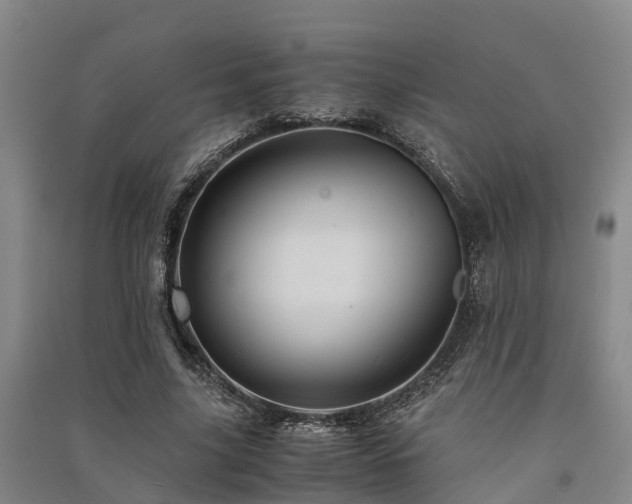 X0000091500635200708161459