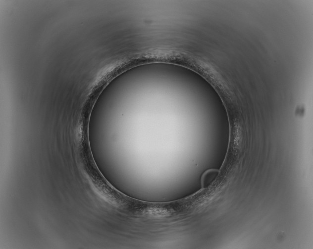 X0000091500636200708161459