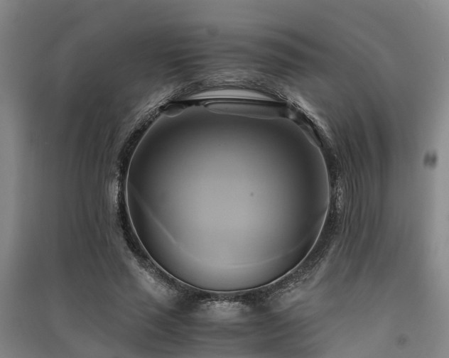 X0000091500637200708161459