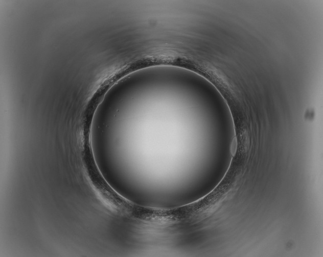 X0000091500638200708161459