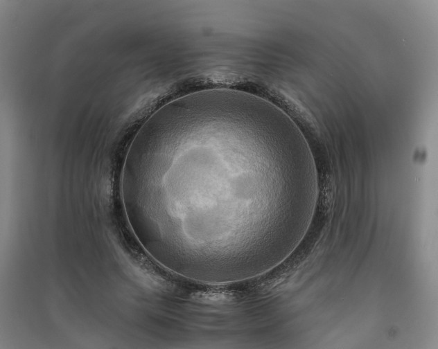 X0000091500639200708161459