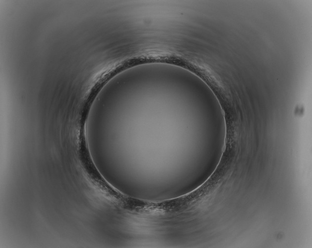 X0000091500640200708161459