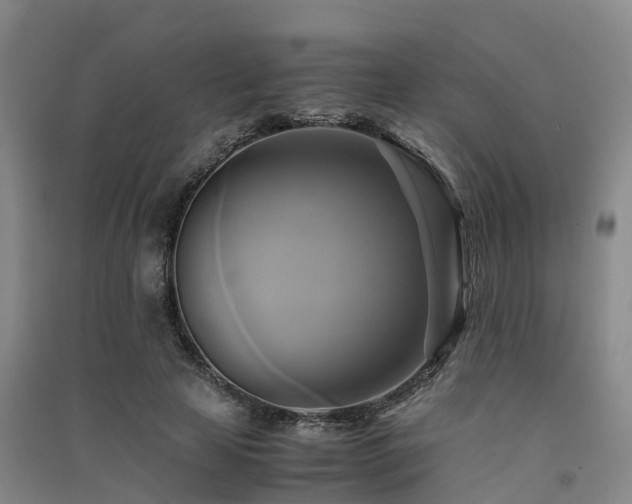 X0000091500641200708161459