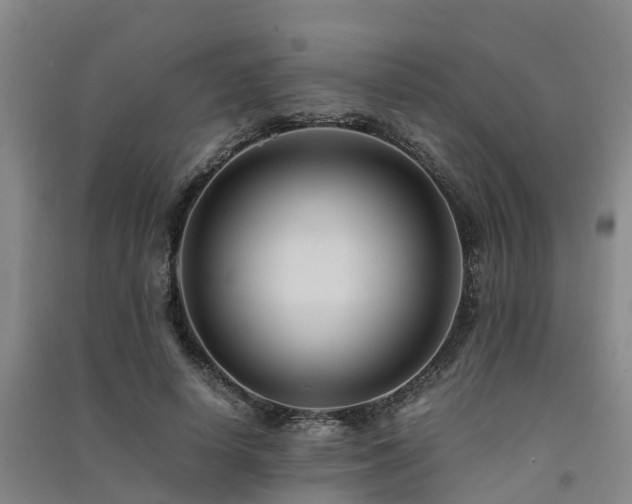X0000091500642200708161459