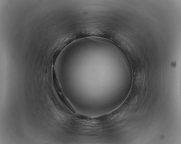 X0000091500643200708161459