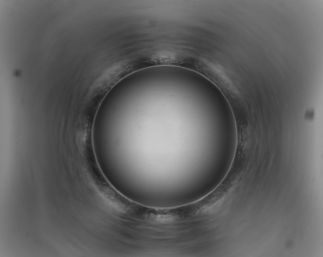 X0000091500645200708161459