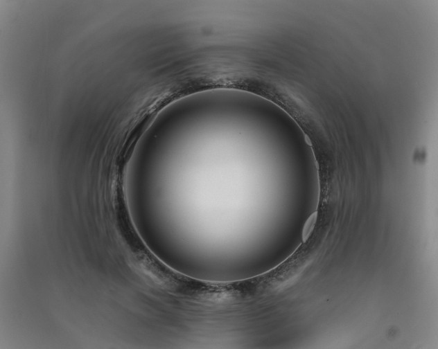 X0000091500646200708161459