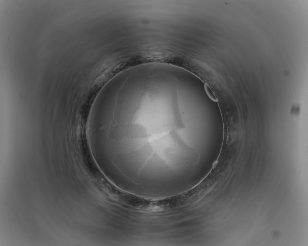 X0000091500647200708161459