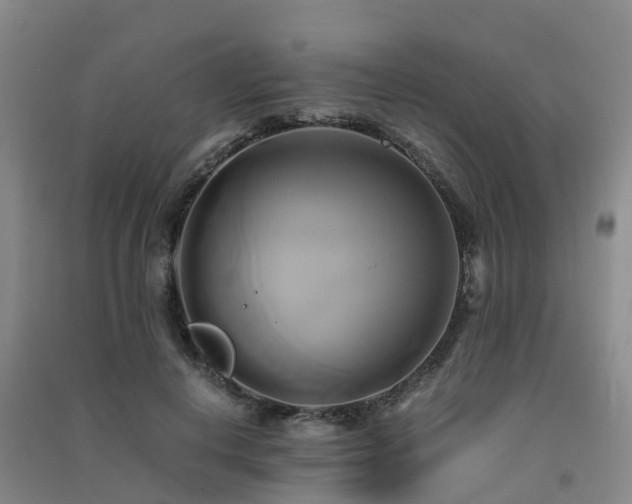 X0000091500648200708161459