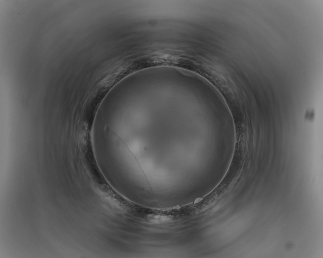 X0000091500649200708161459