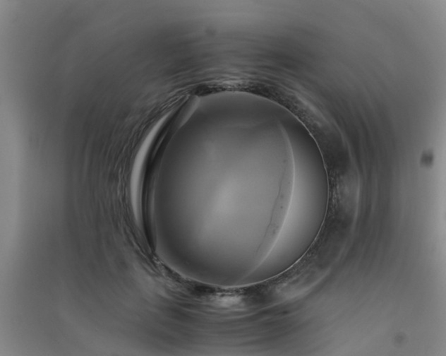 X0000091500651200708161459