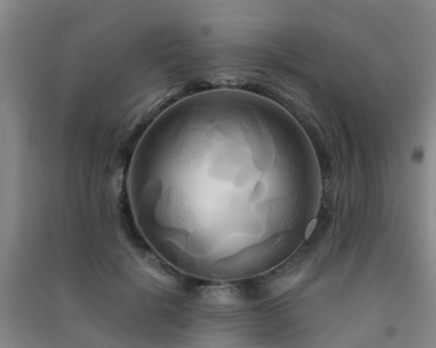 X0000091500652200708161459