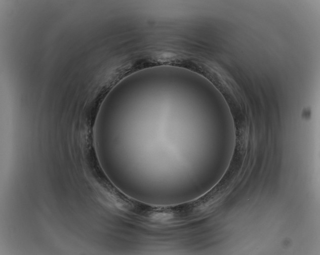 X0000091500653200708161459