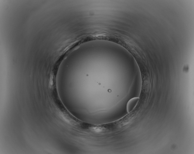 X0000091500654200708161459