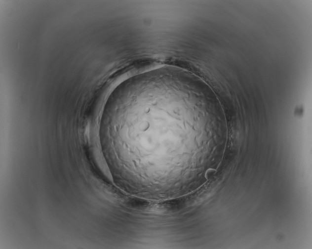 X0000091500656200708161500
