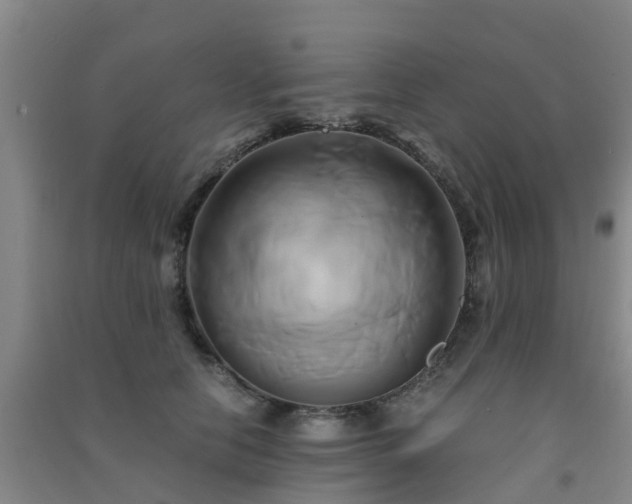 X0000091500658200708161500