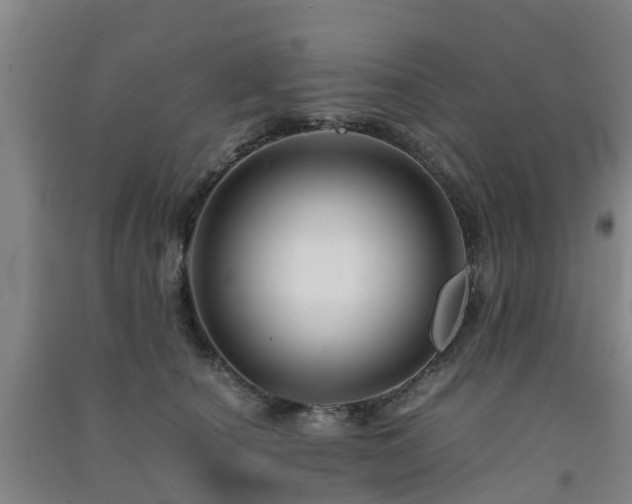 X0000091500660200708161500